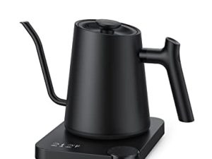 Gooseneck Electric Pour-Over Kettle