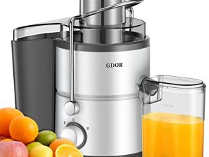GDOR Juicer with 800W Motor