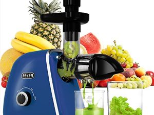 Cold Press Juicer