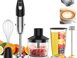 Immersion Blender Handheld